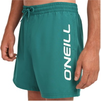 Hommes O'Neill Short De Bain Logo 16''